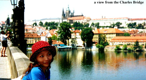 a view from the Charles Bridge