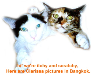Itchy and Scratchy